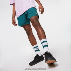 todo el dia 16 playa corta 4LDTTV2789 arándano Oakley